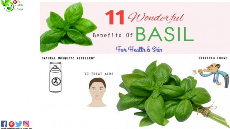basil health benefits