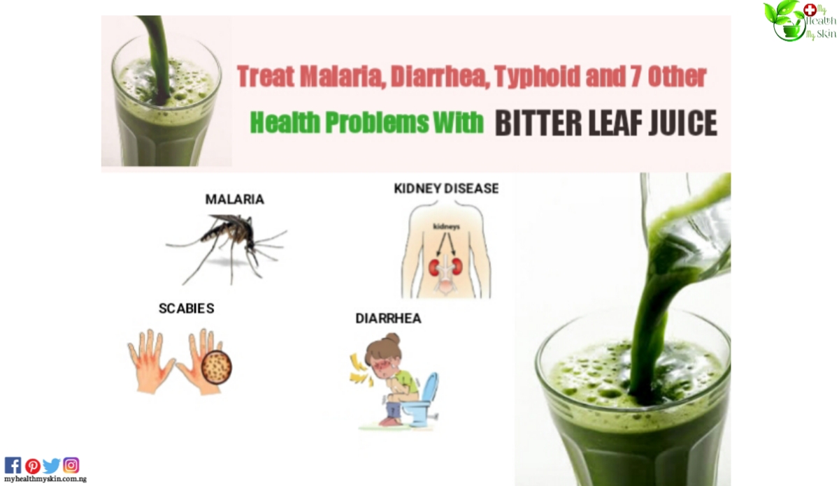 bitter leafleaf juice health benefits