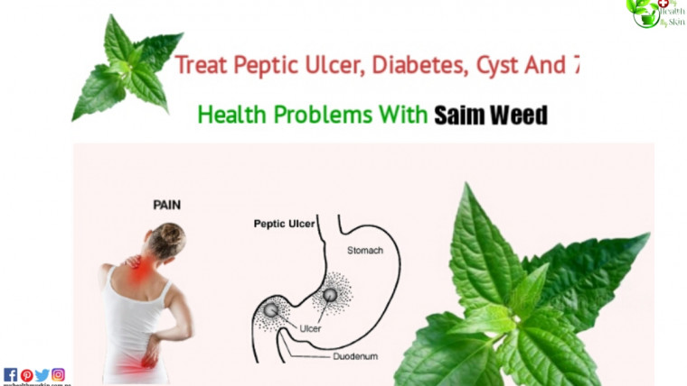 saim weed benefits for health