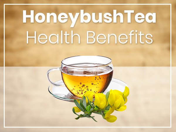 Benefits Of Honeybush tea