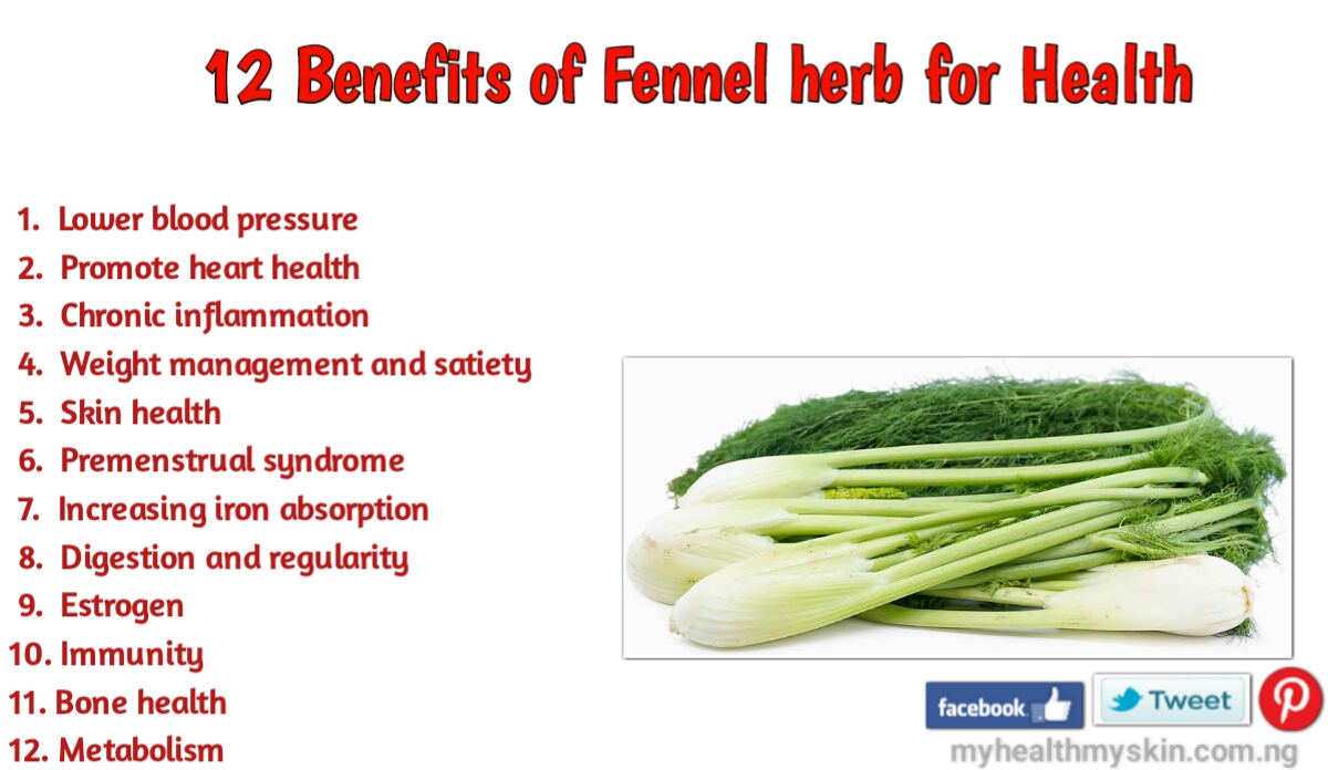 benefits of fennel herb