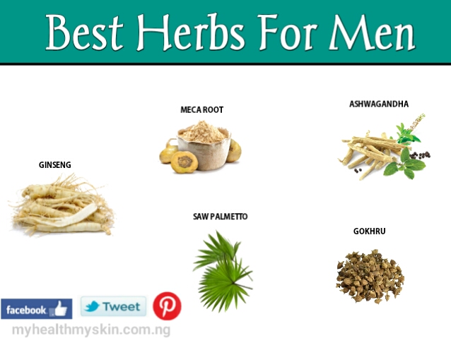 Best herbs for men health