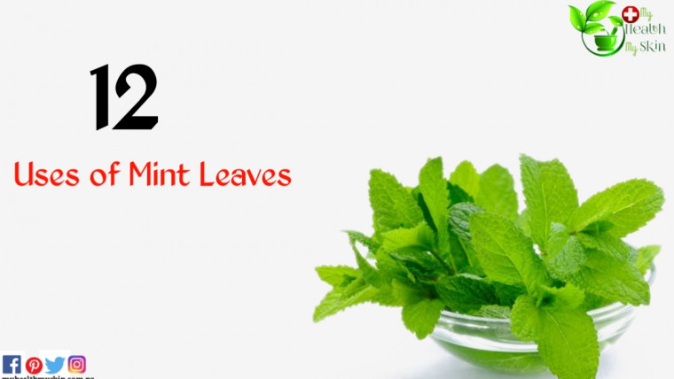 Uses of Mint Leaves