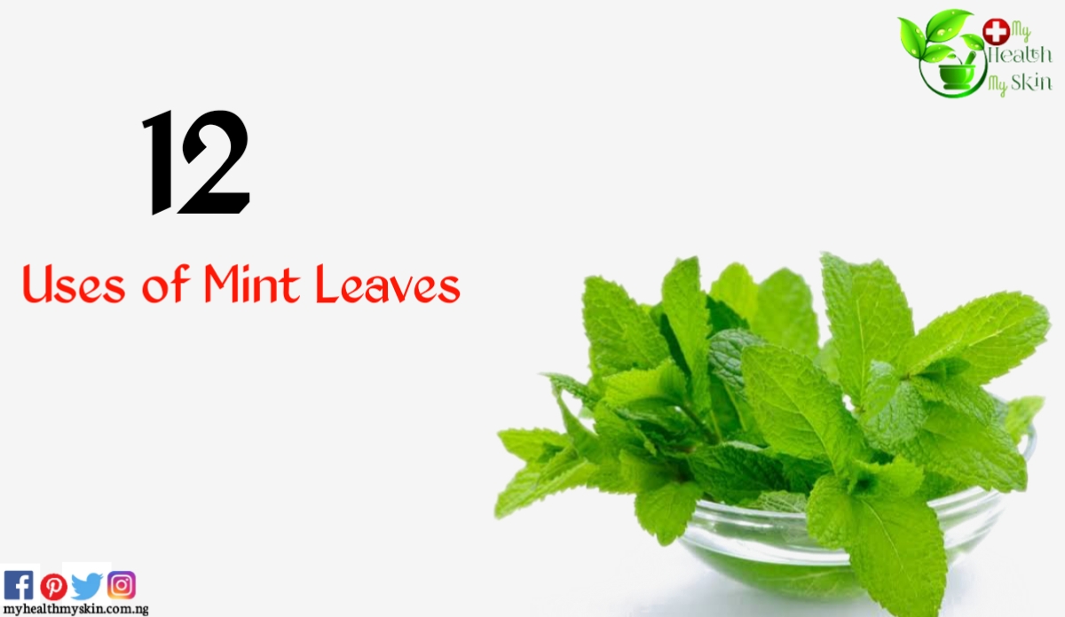 uses of mint leaves
