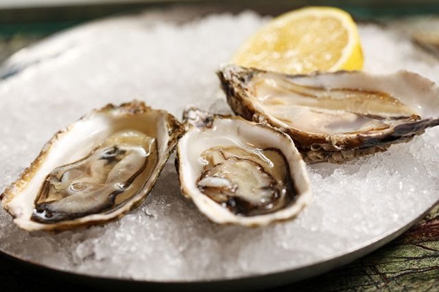 oysters on plate