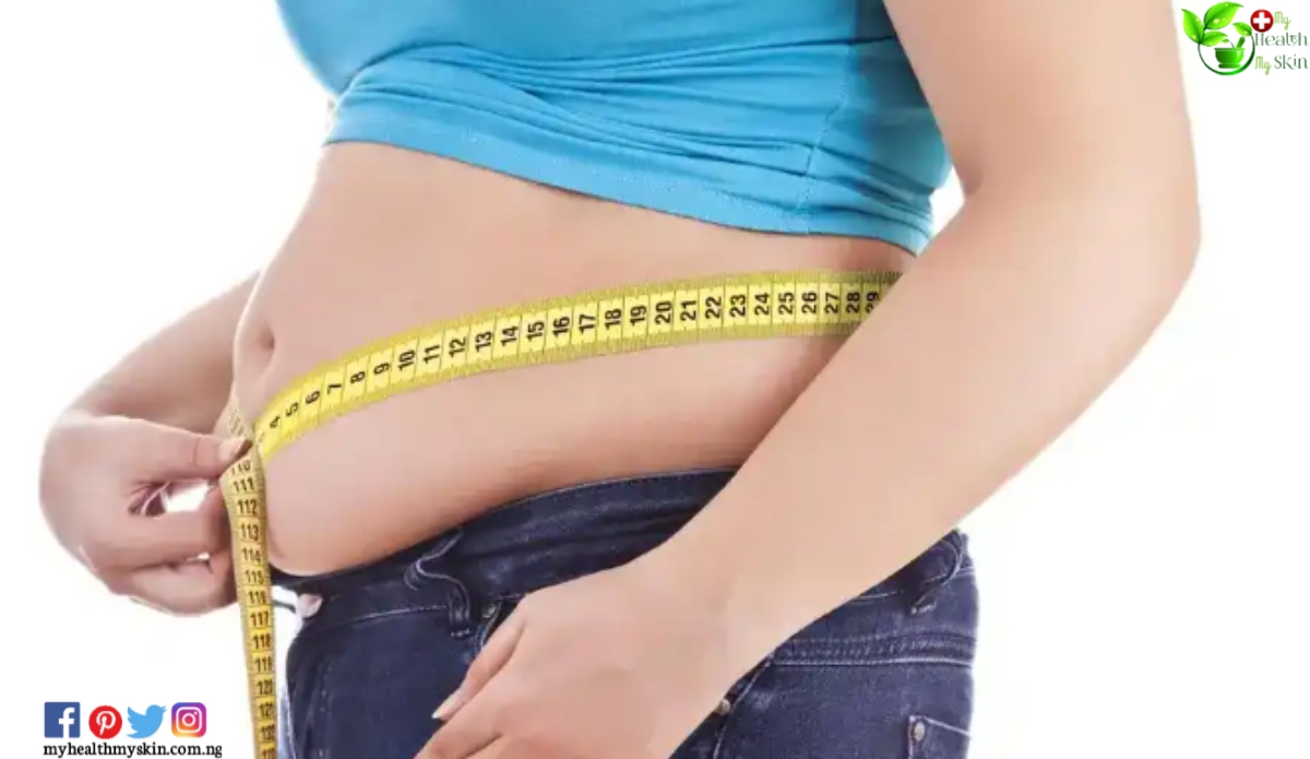 Belly fat Medicinal plants that help you Burn fat