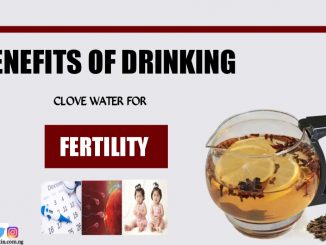 Benefits of drinking clove water for fertility
