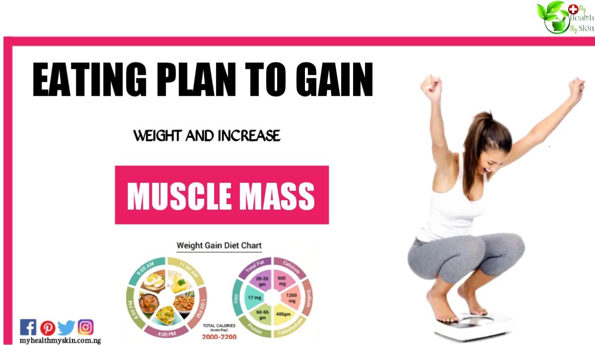 Eating plan to gain weight and increase muscle mass