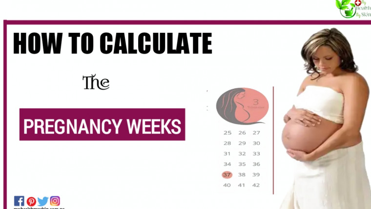 How to calculate the Pregnancy weeks