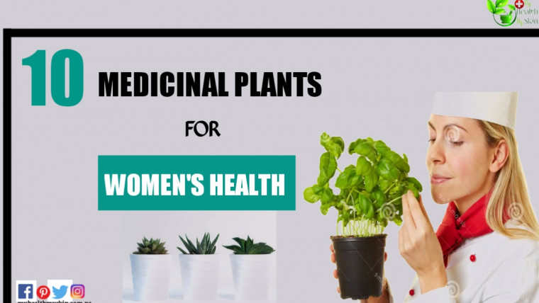 Medicinal plants for womens health0A0A