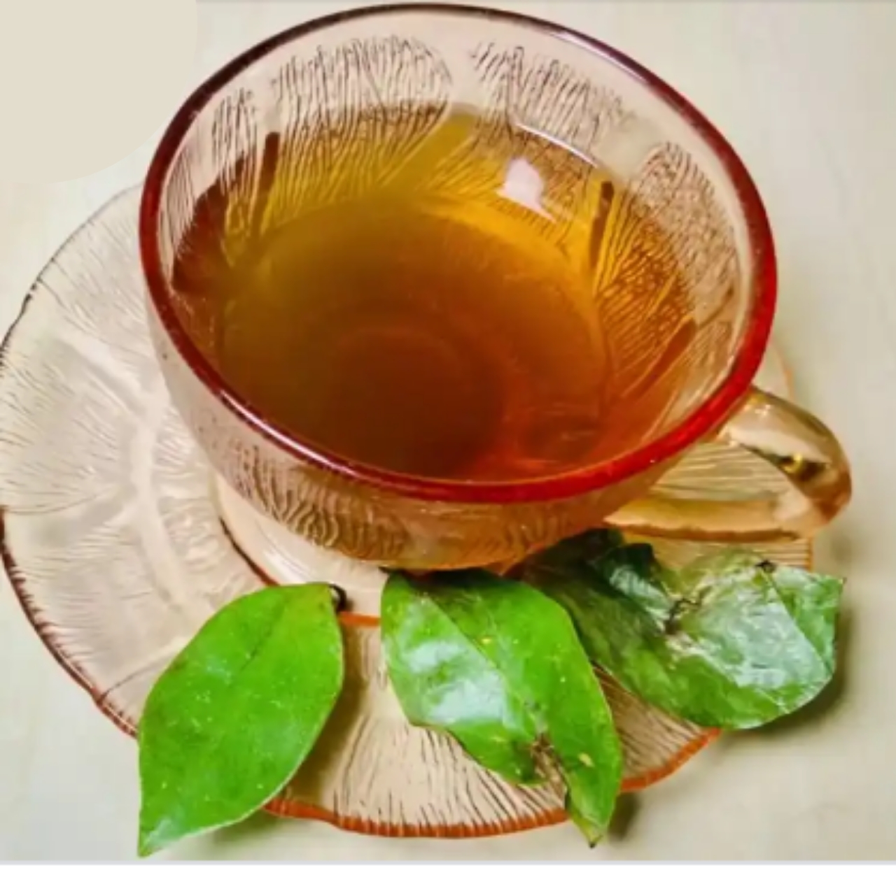 What is soursop leaves tea good for?