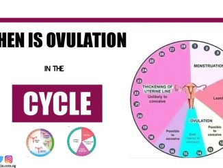 When is ovulation in the cycle