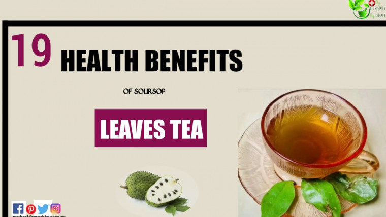 What is soursop leaves tea good for?