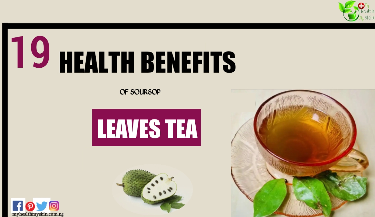 health benefits of soursop leaves tea