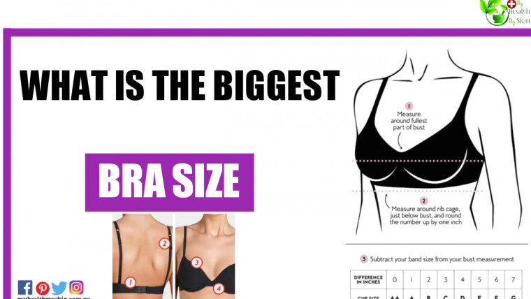 What Is The Biggest Bra Size