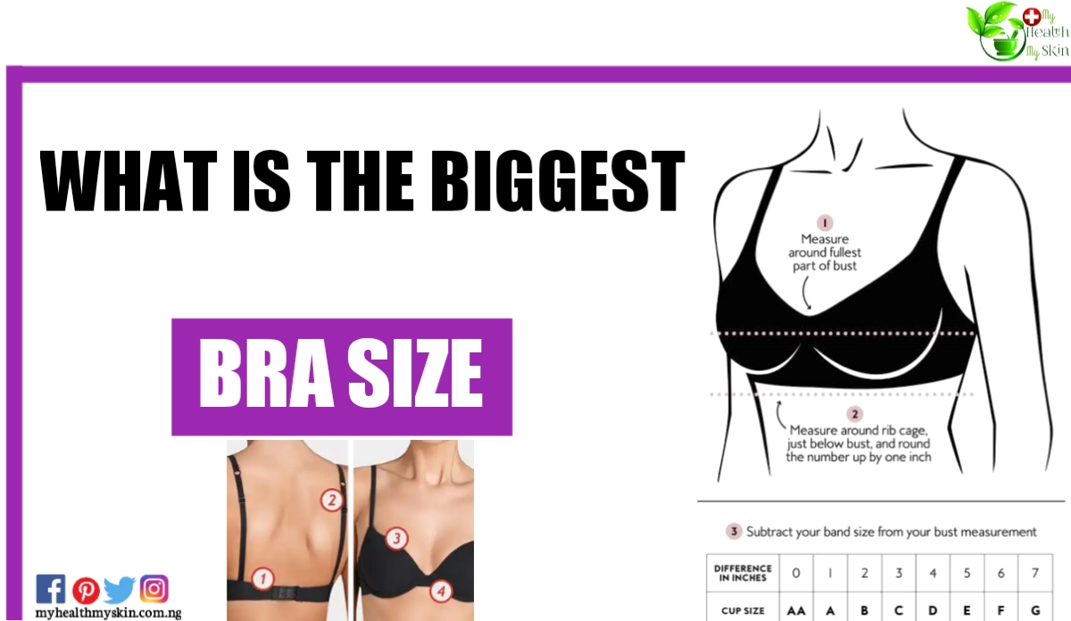 What Is The Biggest Bra Size Possible