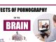 These are the effects of pornography on the brain