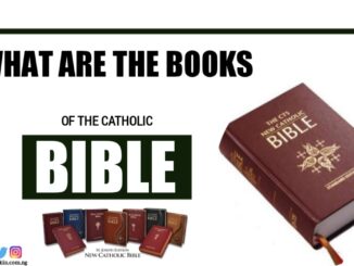 What are the Books Of The Catholic Bible?