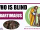 Who Is Blind Bartimaeus? What Can I Learn From The Story Of Bartimaeus?