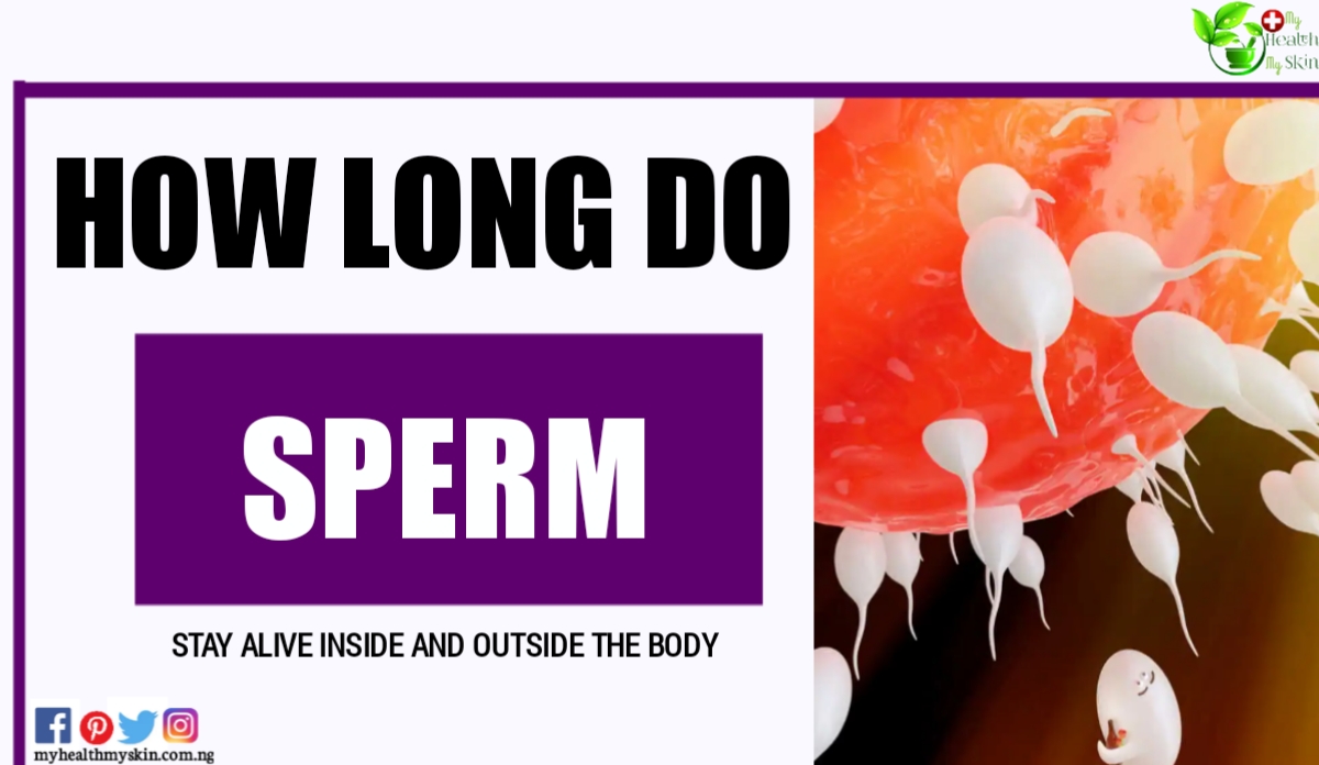 How Long Do Sperm Stay Alive Inside And Outside The Body?