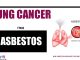 Lung Cancer From Asbestos: How Asbestos Increases The Risk Of Cancer