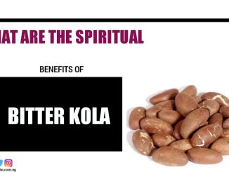 What are the Spiritual Benefits Of Bitter Kola? (Garcinia)