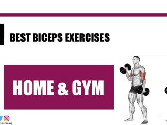 11 Best Biceps Exercises – Home & Gym