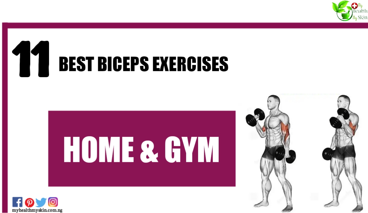 11 Best Biceps Exercises – Home & Gym