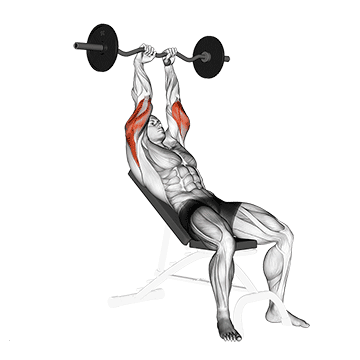 10 Best Triceps Exercises – Home & Gym