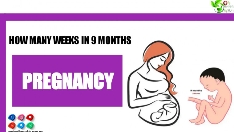 How Many Weeks In 9 Months Pregnancy?