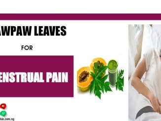 How to Use Pawpaw Leaves For Menstrual Pain