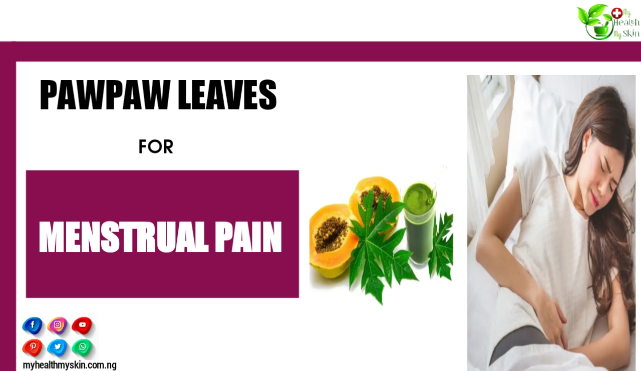 How to Use Pawpaw Leaves For Menstrual Pain