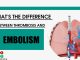 Thrombosis Vs Embolism: What's The Differences Between Difference Them?