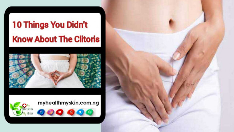 10 Things You Didnt Know About The Clitoris