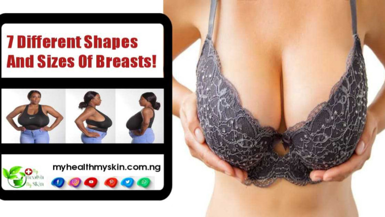 All About The 7 Different Shapes And Sizes Of Breasts