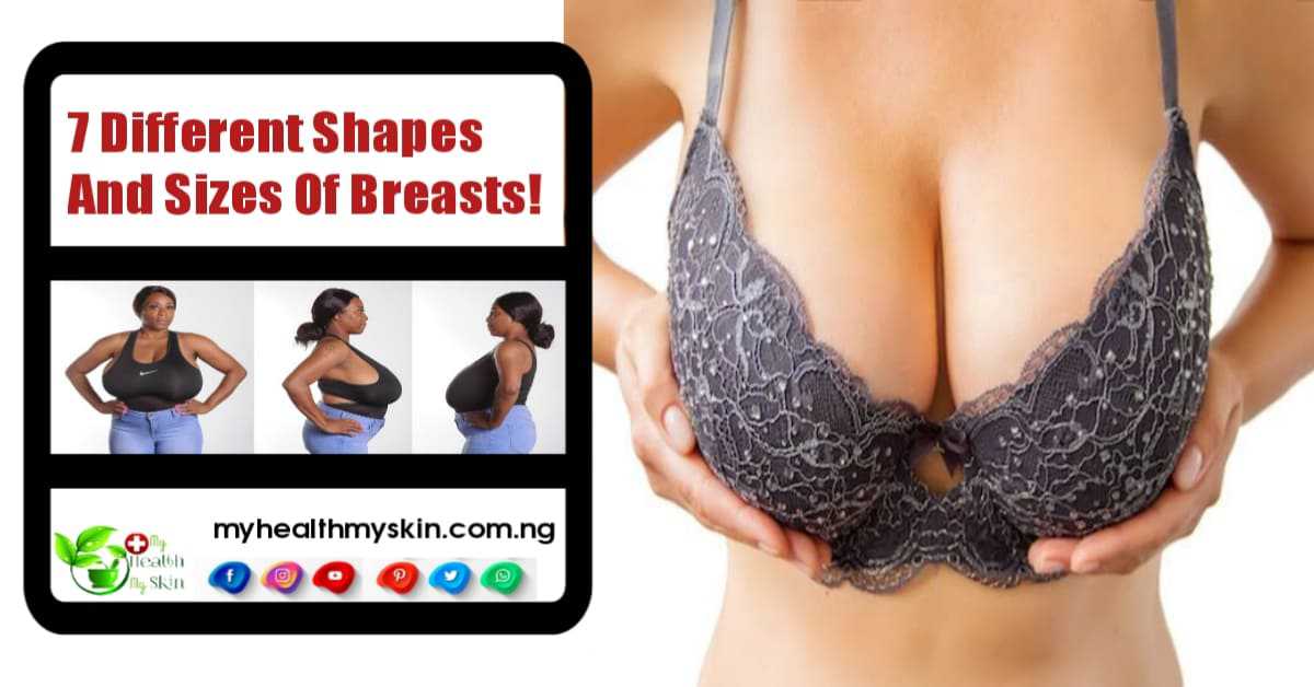 All About The 7 Different Shapes And Sizes Of Breasts!