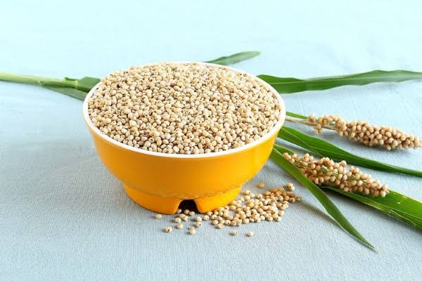 Guinea Corn 12 Potential Health Benefits And Side Effects sorghum 