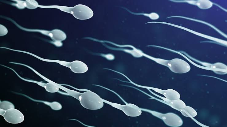 how to flush out sperm from the body naturally