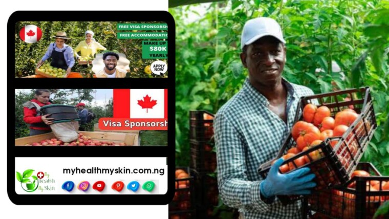 Fruit Picking Jobs In Canada With FREE Visa Sponsorship