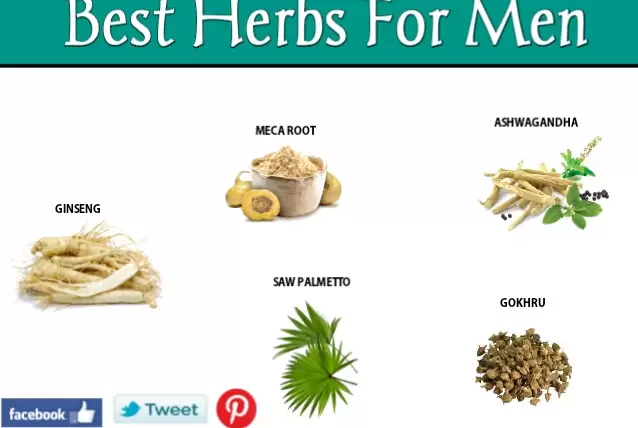 Best herbs for men health
