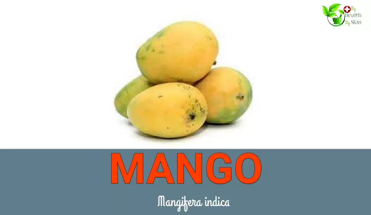 IMG 20210519 WA0027