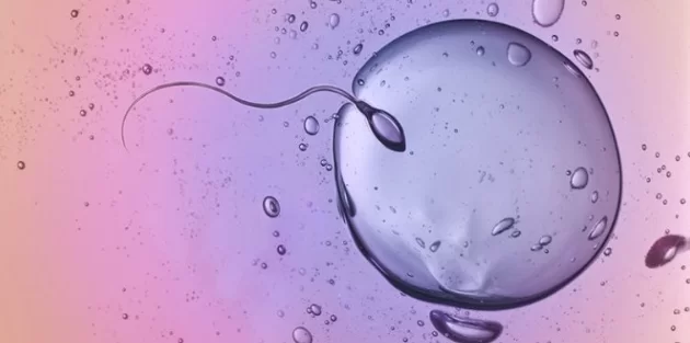 Swimming sperm