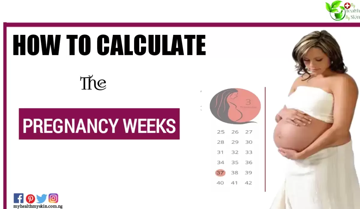 How to calculate the Pregnancy weeks