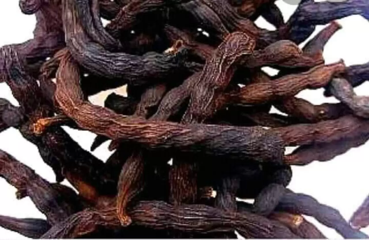 Uda seed