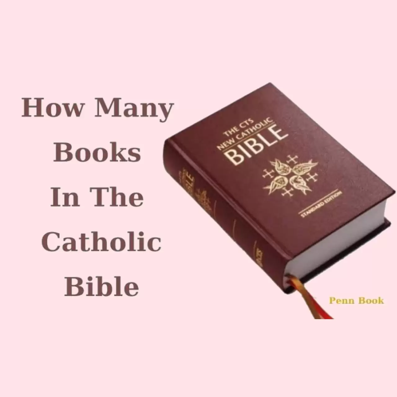 What are the Books Of The Catholic Bible?