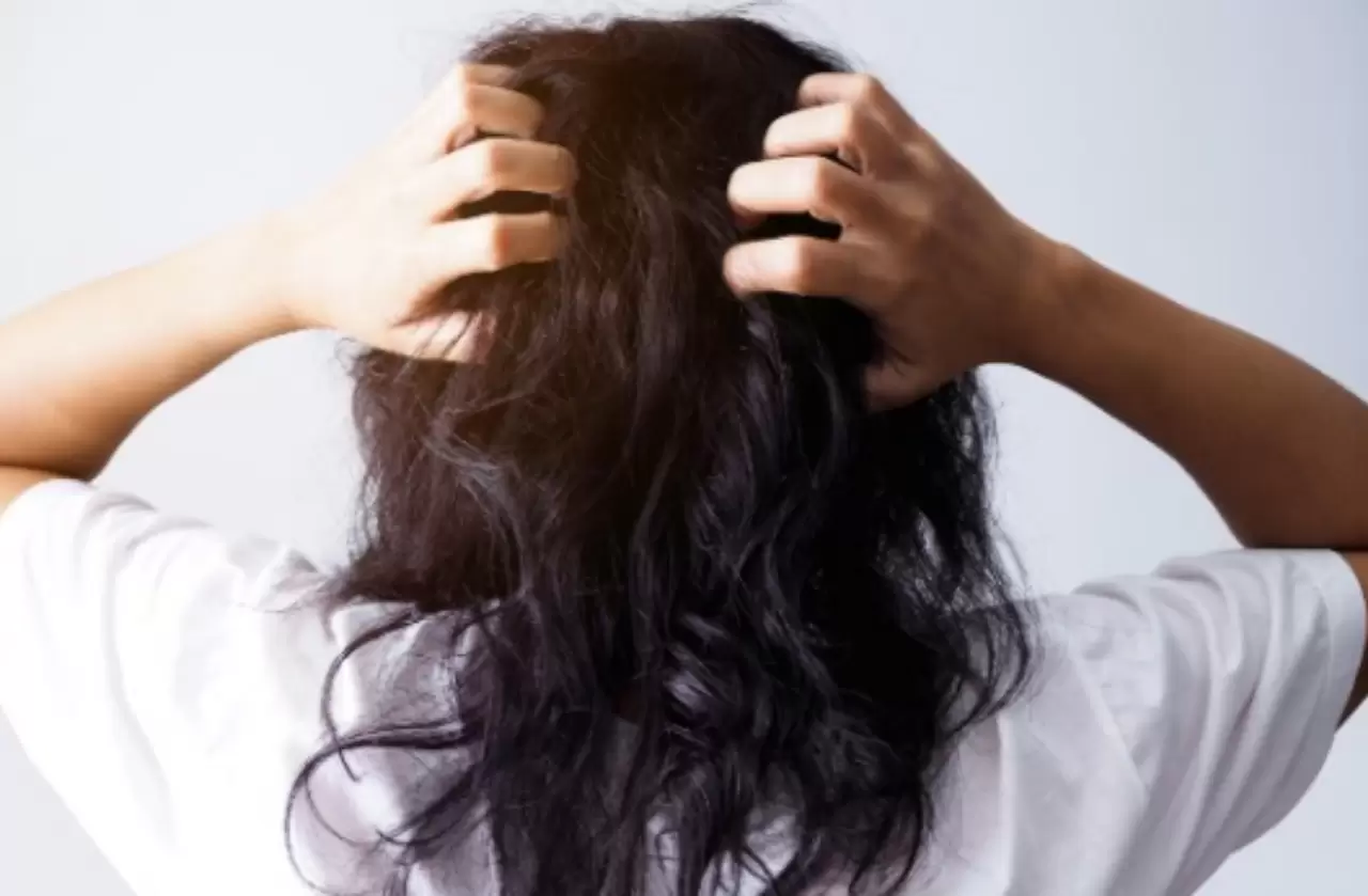 Commonly Used Home Lice Remedies for Children and Adult