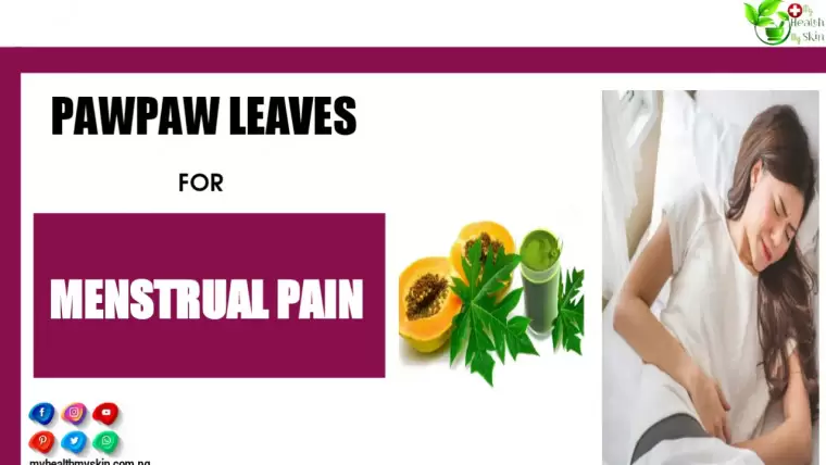 How to Use Pawpaw Leaves For Menstrual Pain