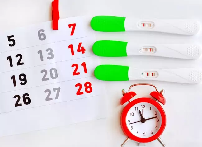 How To Calculate Ovulation