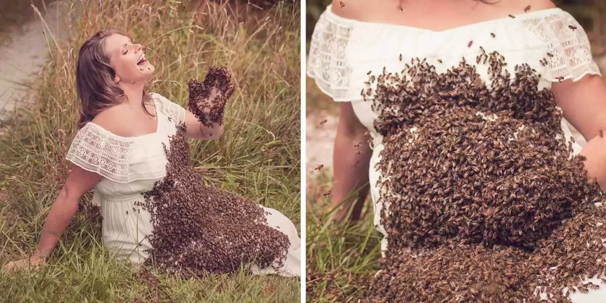 The miracle of a pregnant woman: A swarm of bees creates a unique beauty in a pregnancy photo that causes a fever in the online community