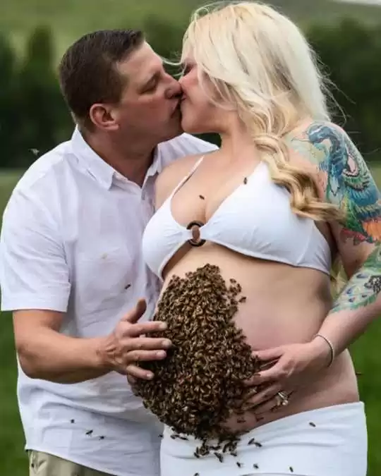 The miracle of a pregnant woman: A swarm of bees creates a unique beauty in a pregnancy photo that causes a fever in the online community